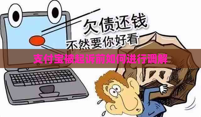 支付宝被起诉前如何进行调解