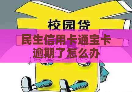 民生信用卡通宝卡逾期了怎么办