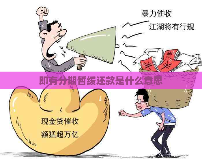 即有分期暂缓还款是什么意思