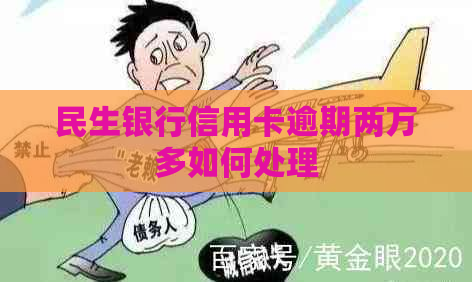 民生银行信用卡逾期两万多如何处理