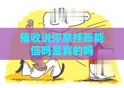 说停息挂账能信吗是真的吗