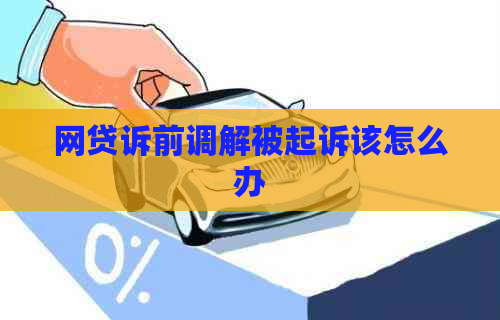 网贷诉前调解被起诉该怎么办