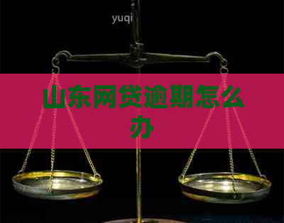 山东网贷逾期怎么办