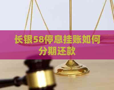 长银58停息挂账如何分期还款