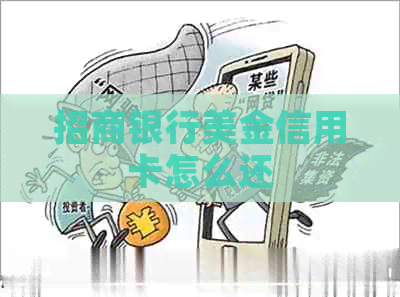 招商银行美金信用卡怎么还