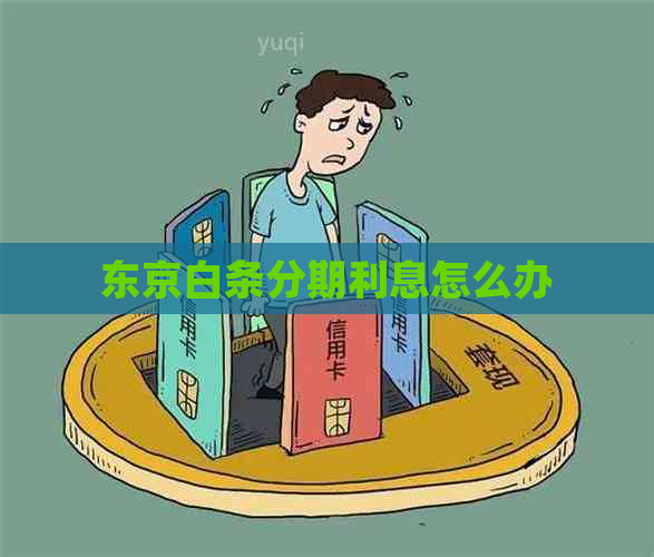 东京白条分期利息怎么办