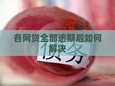 各网贷全部逾期后如何解决