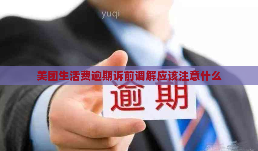 美团生活费逾期诉前调解应该注意什么