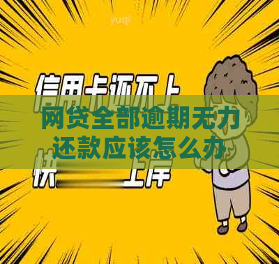 网贷全部逾期无力还款应该怎么办