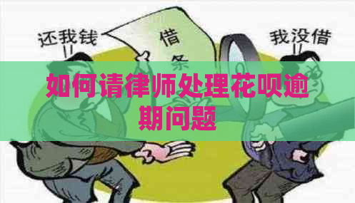 如何请律师处理花呗逾期问题