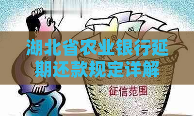 湖北省农业银行延期还款规定详解