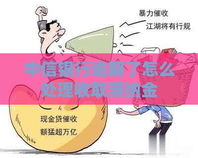 中信银行逾期了怎么处理收取滞纳金