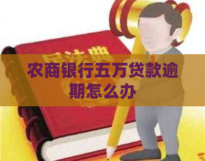 农商银行五万贷款逾期怎么办