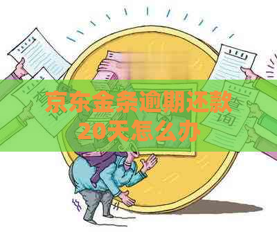 京东金条逾期还款20天怎么办