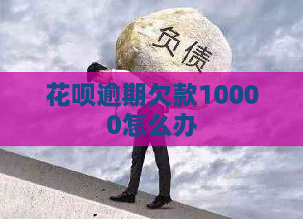 花呗逾期欠款10000怎么办