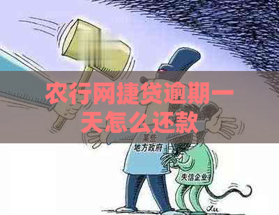 农行网捷贷逾期一天怎么还款