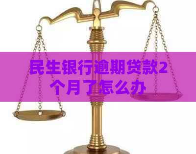 民生银行逾期贷款2个月了怎么办