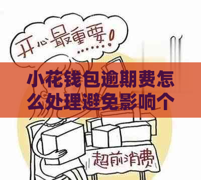 小花钱包逾期费怎么处理避免影响个人信用记录