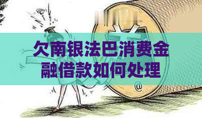 欠南银法巴消费金融借款如何处理