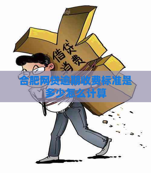 合肥网贷逾期收费标准是多少怎么计算