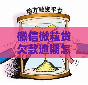 微信微粒贷欠款逾期怎么办