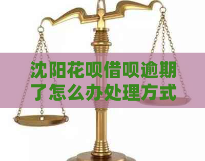 沈阳花呗借呗逾期了怎么办处理方式