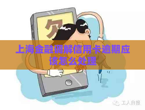 上海金融调解信用卡逾期应该怎么处理