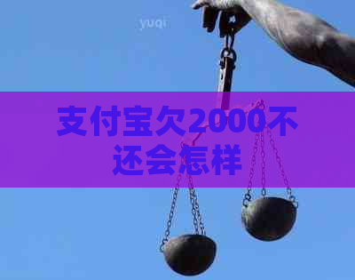 支付宝欠2000不还会怎样