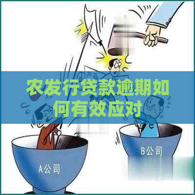 农发行贷款逾期如何有效应对