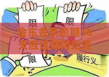 金东金条逾期30天应该如何处理