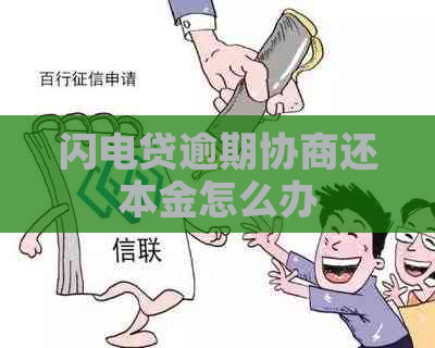 闪电贷逾期协商还本金怎么办