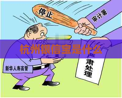 杭州银信宝是什么