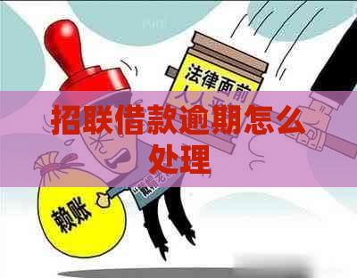 招联借款逾期怎么处理