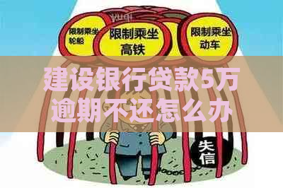 建设银行贷款5万逾期不还怎么办