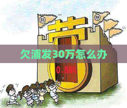 欠浦发30万怎么办