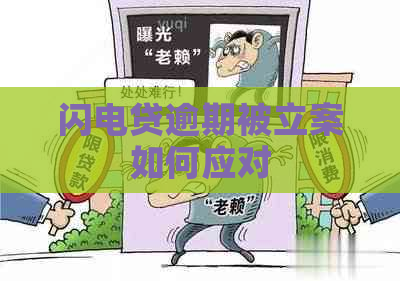 闪电贷逾期被立案如何应对