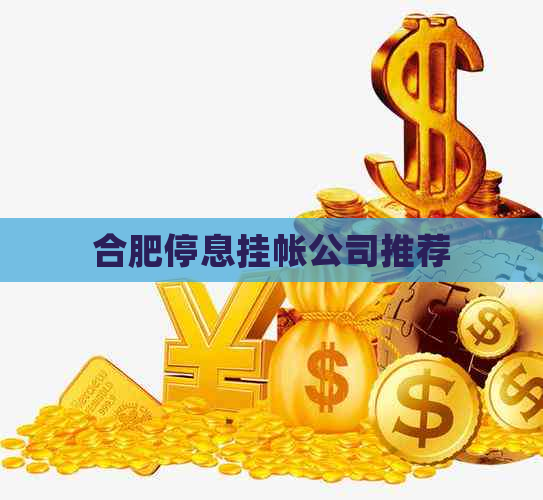 合肥停息挂帐公司推荐