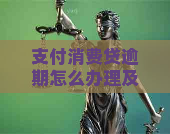 支付消费贷逾期怎么办理及后续解决方法