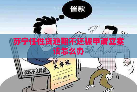 苏宁任性贷逾期不还被申请立案该怎么办