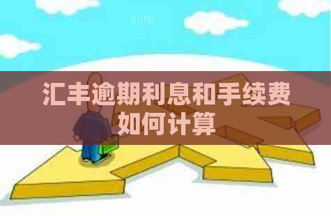 汇丰逾期利息和手续费如何计算