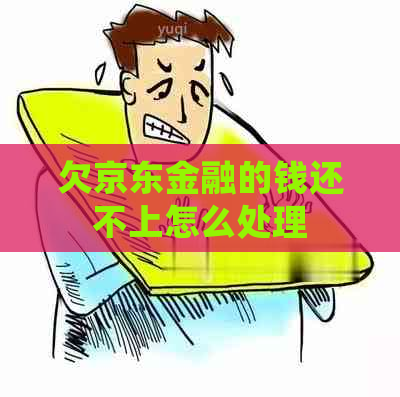 欠京东金融的钱还不上怎么处理