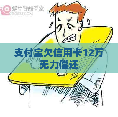 支付宝欠信用卡12万无力偿还