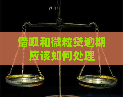 借呗和微粒贷逾期应该如何处理