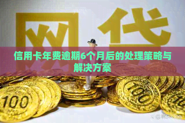 信用卡年费逾期6个月后的处理策略与解决方案