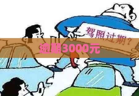 逾期3000元