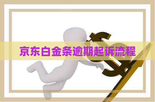 京东白金条逾期起诉流程