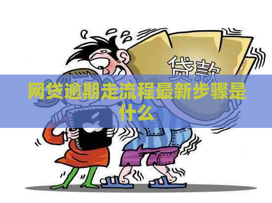 网贷逾期走流程最新步骤是什么