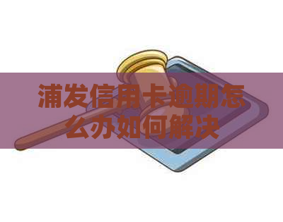 浦发信用卡逾期怎么办如何解决