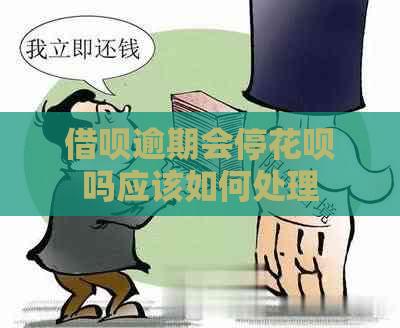 借呗逾期会停花呗吗应该如何处理