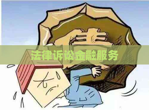 法律诉讼金融服务